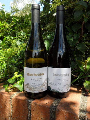 Photo de Terre to wine, membre de Bout à Bout, réseau de réemploi des bouteilles en verre en Pays de la Loire