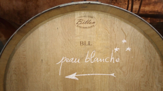 Photo de Terre to wine, membre de Bout à Bout, réseau de réemploi des bouteilles en verre en Pays de la Loire